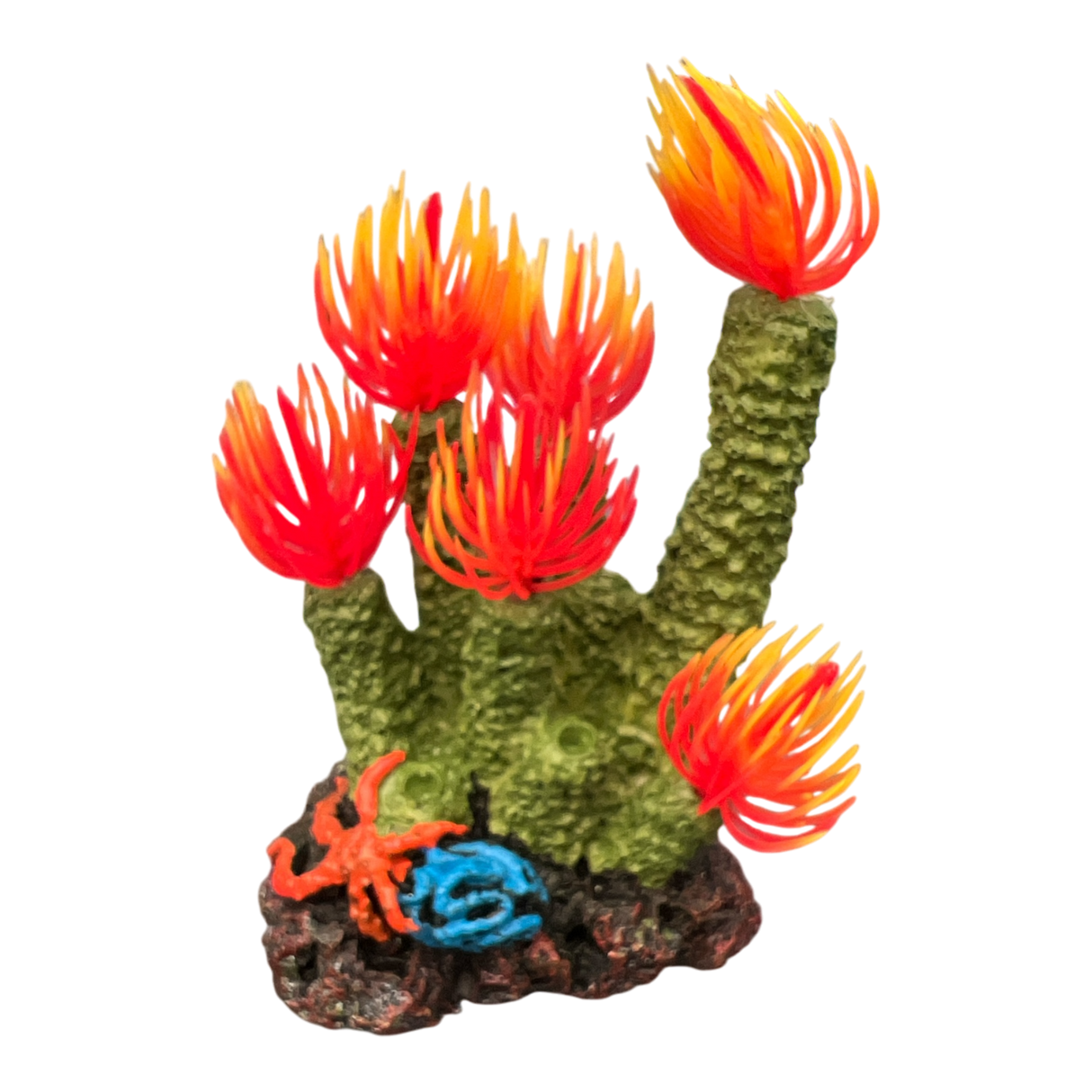 AquaTrio Flame Coral