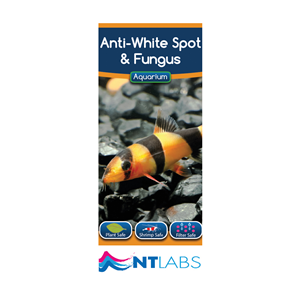 NT Labs Anti White Spot & Fungus - 100ml