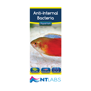 NT Labs Anti Internal Bacteria - 100ml