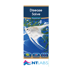 NT Labs Disease Solve - 100ml