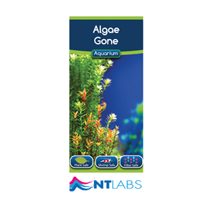 NT Labs Algae Gone - 100ml