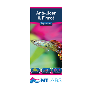 NT Labs Anti Ulcer & Finrot - 100ml