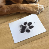 https://cdn.shopify.com/s/files/1/0589/7378/2073/files/IMG_2317-copy.jpg?v=1696426044