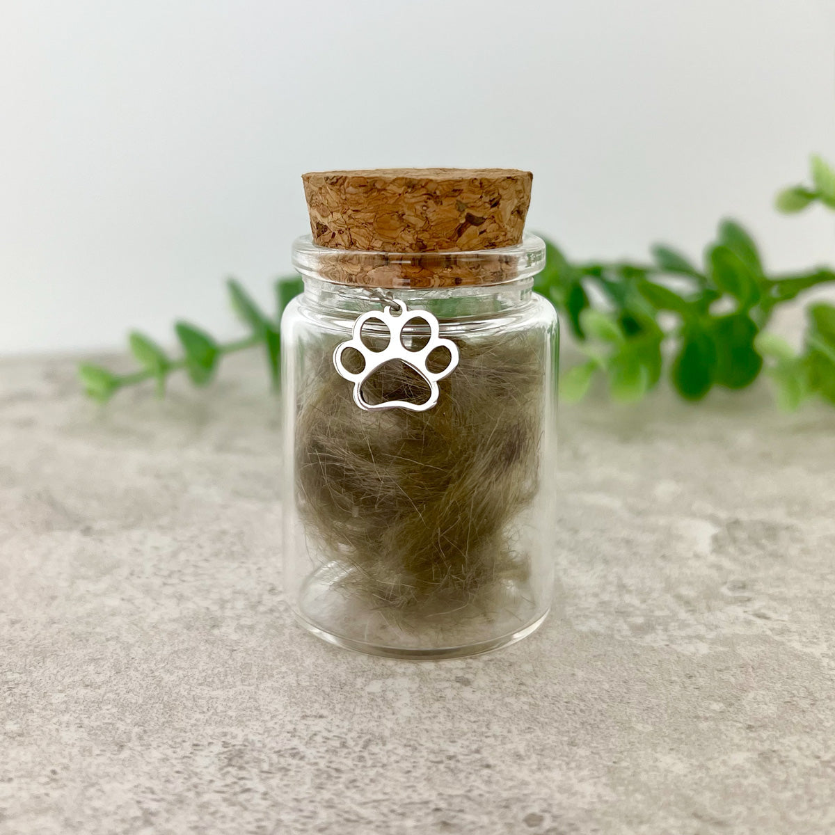 https://cdn.shopify.com/s/files/1/0589/7378/2073/files/IMG_4064_84985200-7107-45f9-a3e0-503546e621f4.jpg?v=1684326934