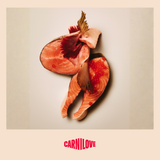 Carnilove Active Salmon & Turkey Dog Food for Large Breeds