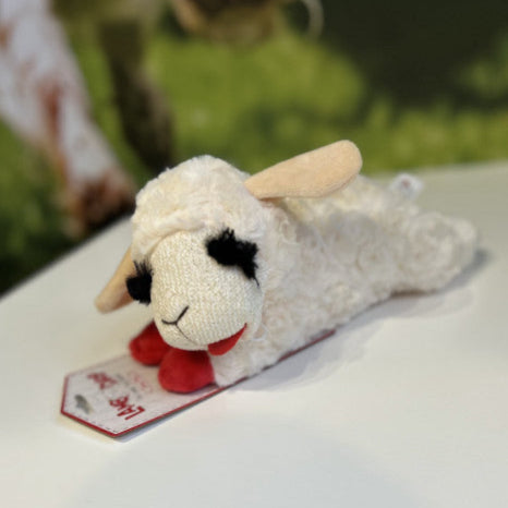 Happy Pet Lambchop- Medium