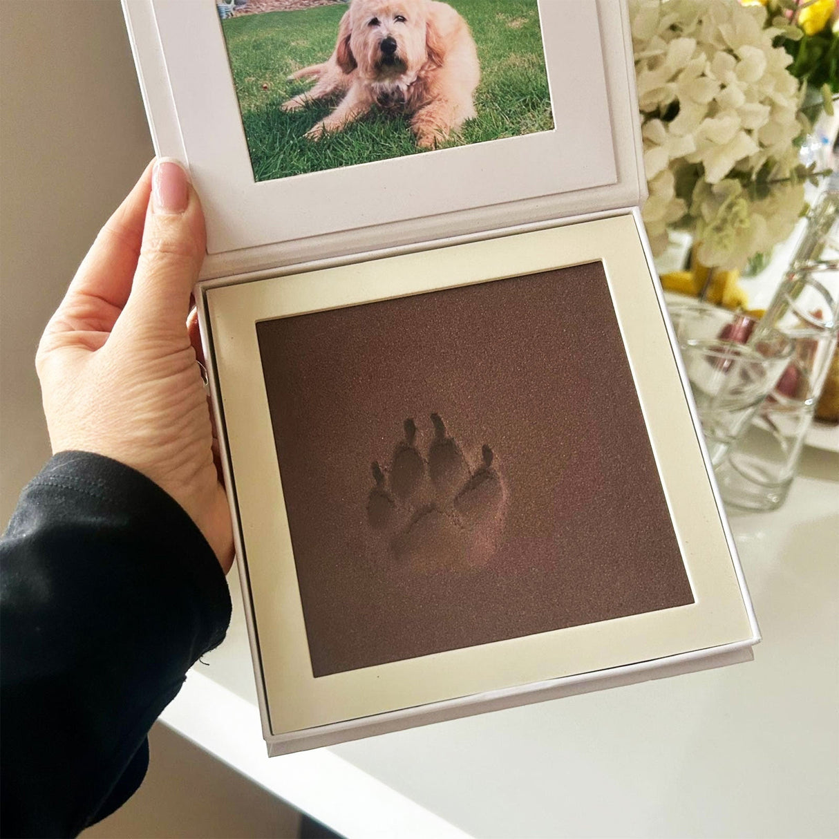 https://cdn.shopify.com/s/files/1/0589/7378/2073/files/Paw-pad.jpg?v=1754557229