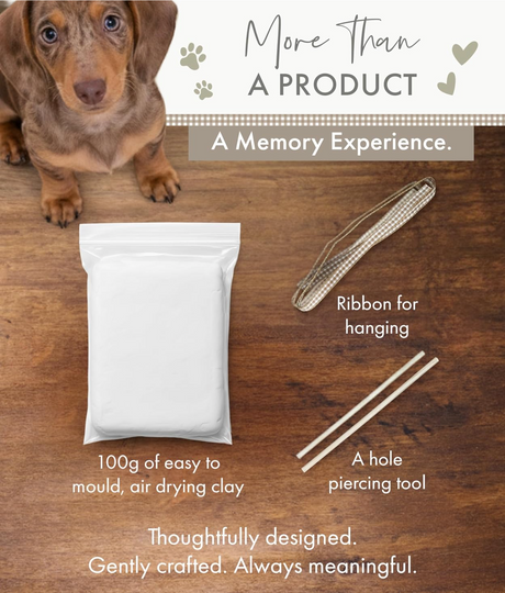 https://cdn.shopify.com/s/files/1/0589/7378/2073/files/Screenshot2026-01-08at08.20.00.png?v=1767860680