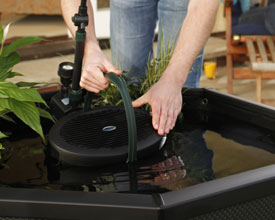 Blagdon Affinity Ponds – Water World Pet & Aquatic Centre