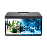 AquaEl Leddy 60 Aquarium Day and Night