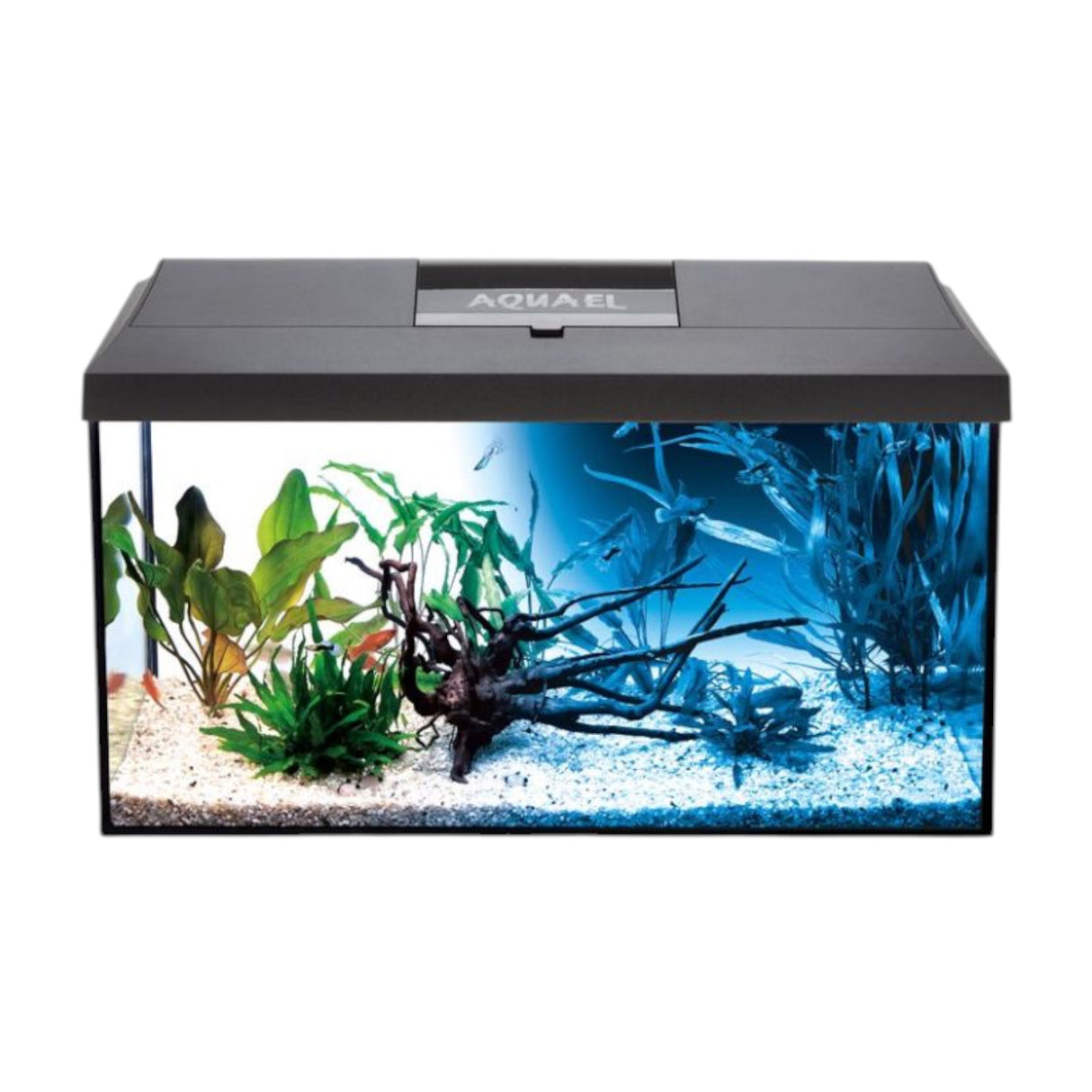 AquaEl Leddy 75 Aquarium Day and Night