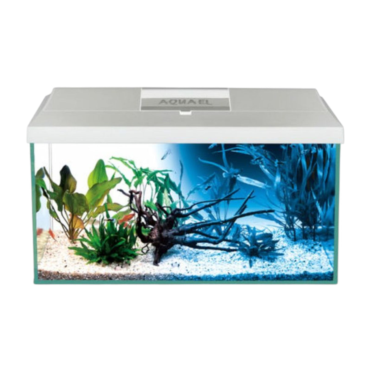 AquaEl Leddy 75 Aquarium Day and Night