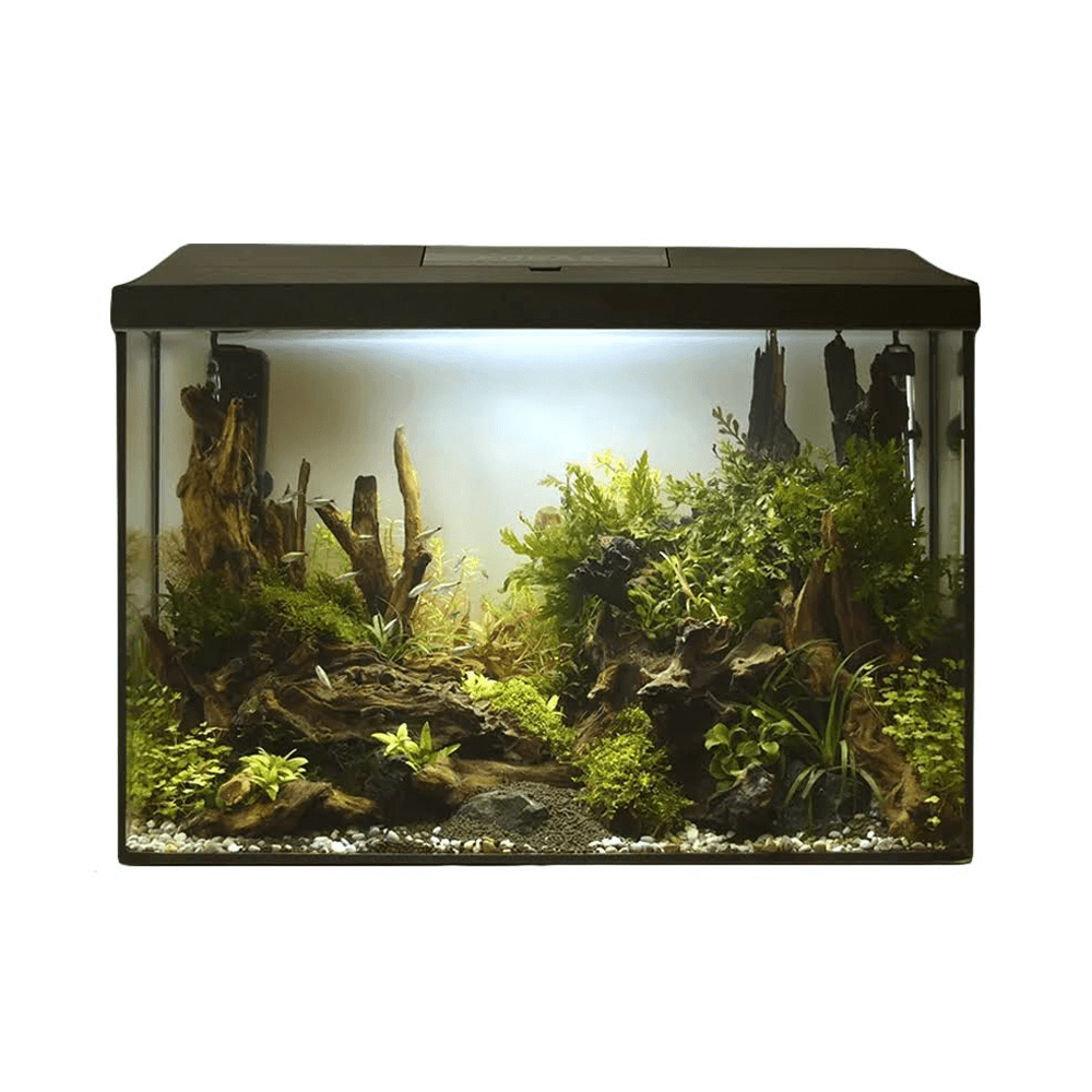 AquaEl Leddy XL 60 Aquarium Kit Black