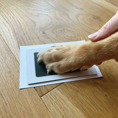https://cdn.shopify.com/s/files/1/0589/7378/2073/files/pet-paw-print-ink-kit_2_22d1135f-3dfd-424f-81c3-4827c802017b.jpg?v=1684327050
