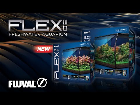 Fluval Flex 2.0 34L Aquarium in Black – Water World Pet & Aquatic