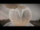 Altico Drift & Flow Poseidon Water Feature with LED Lights