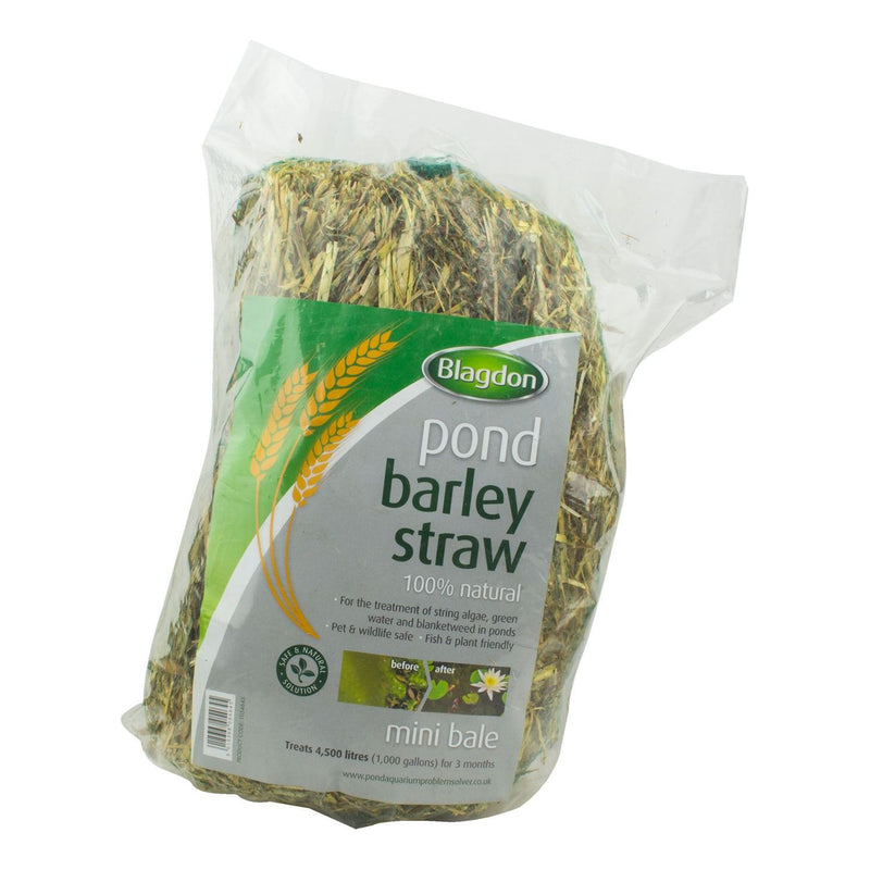 Blagdon Barley Straw Bales