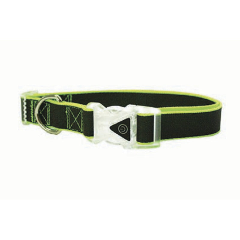 Go Walk Reflective Rainbow Collar