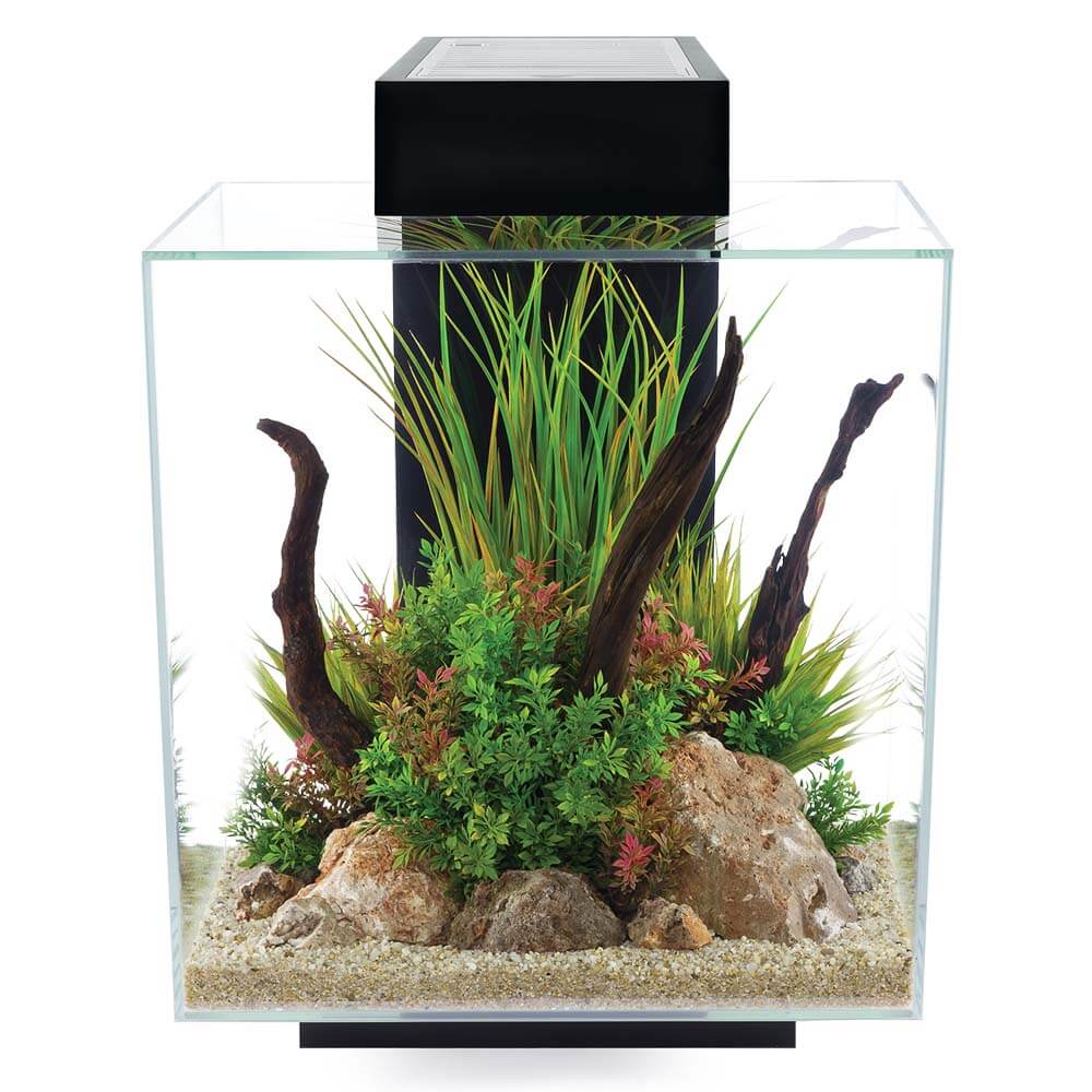 Fluval Edge 2.0 - 46 Litre