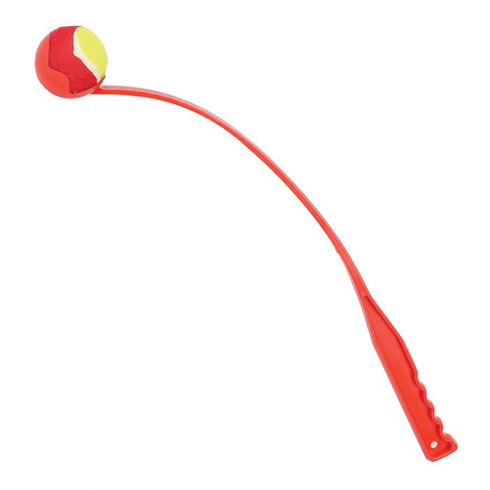 Fling n Fetch
