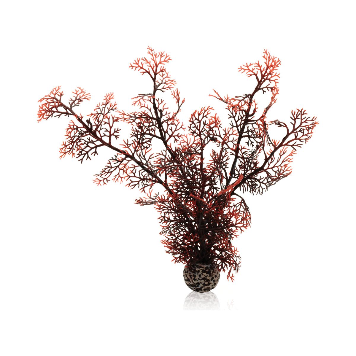 biOrb Sea Fan in Crimson