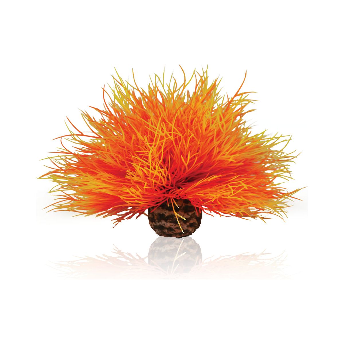 biOrb Sea Lily in Flame