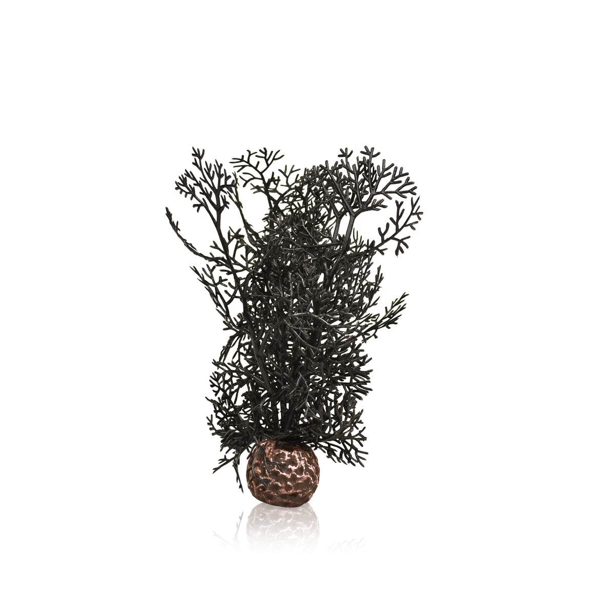 biOrb Sea Fan in Black