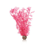 biOrb Sea Fan in Pink