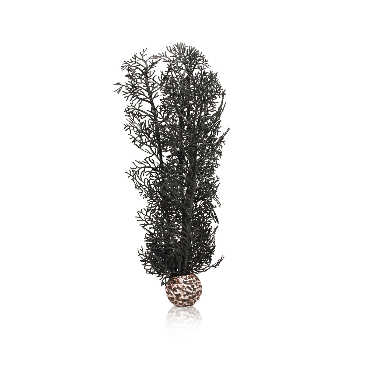 biOrb Sea Fan in Black