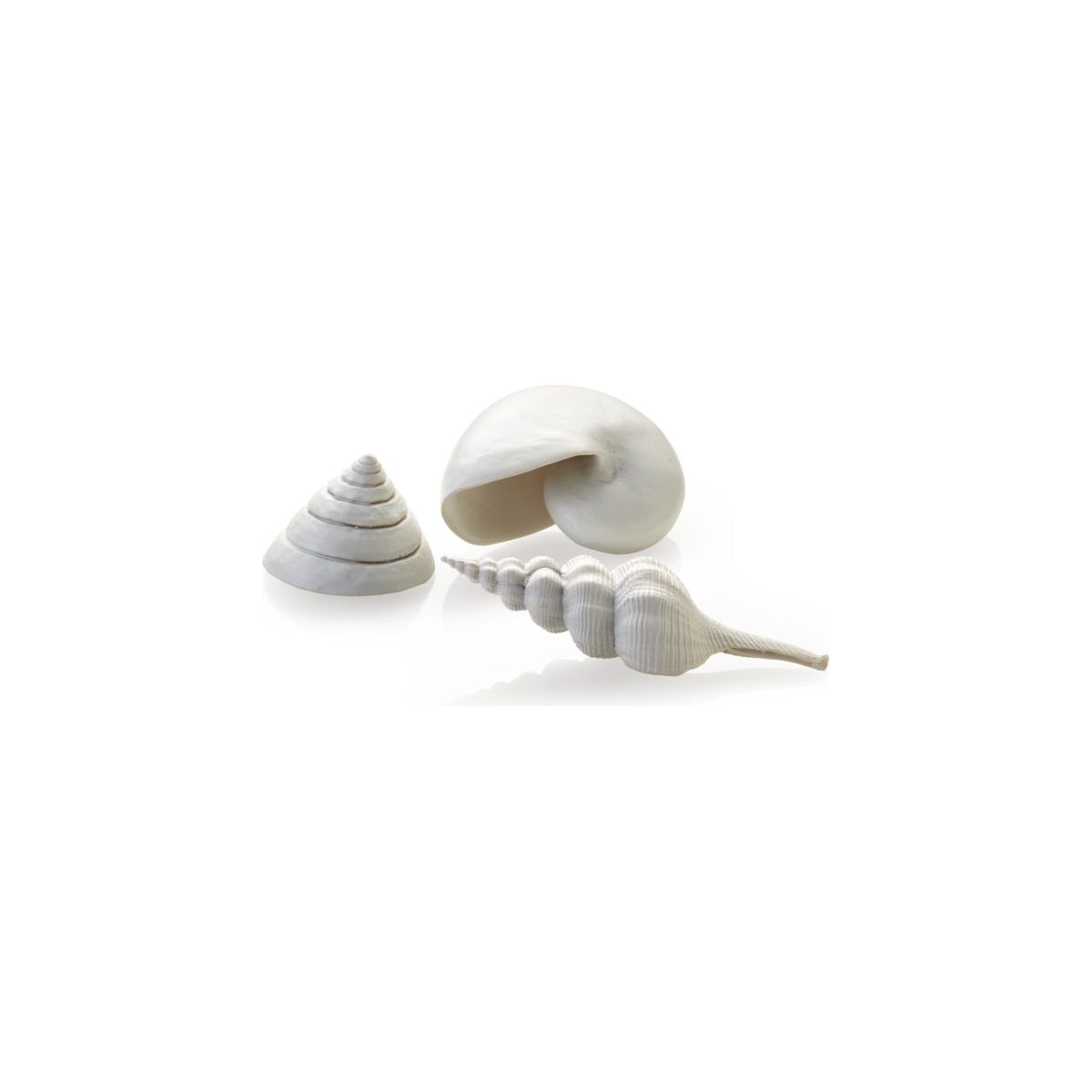 biOrb Sea shell set in White