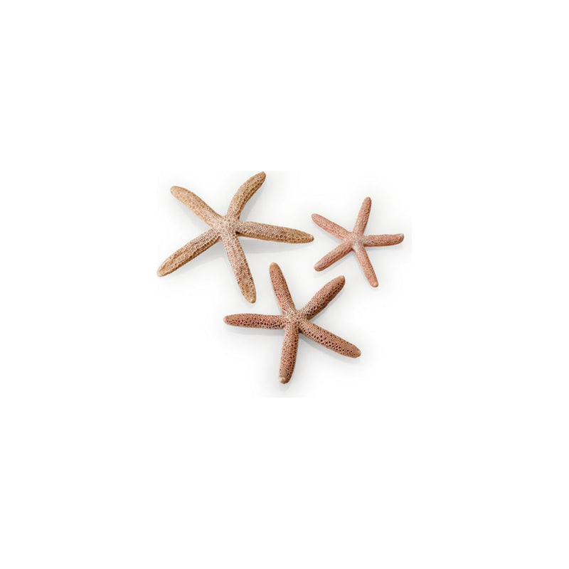 biOrb starfish Set in Natural