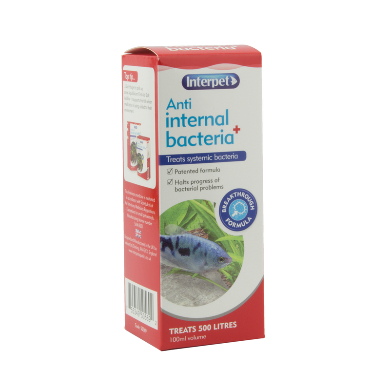 Interpet Anti Internal Bacteria Plus - 100ml