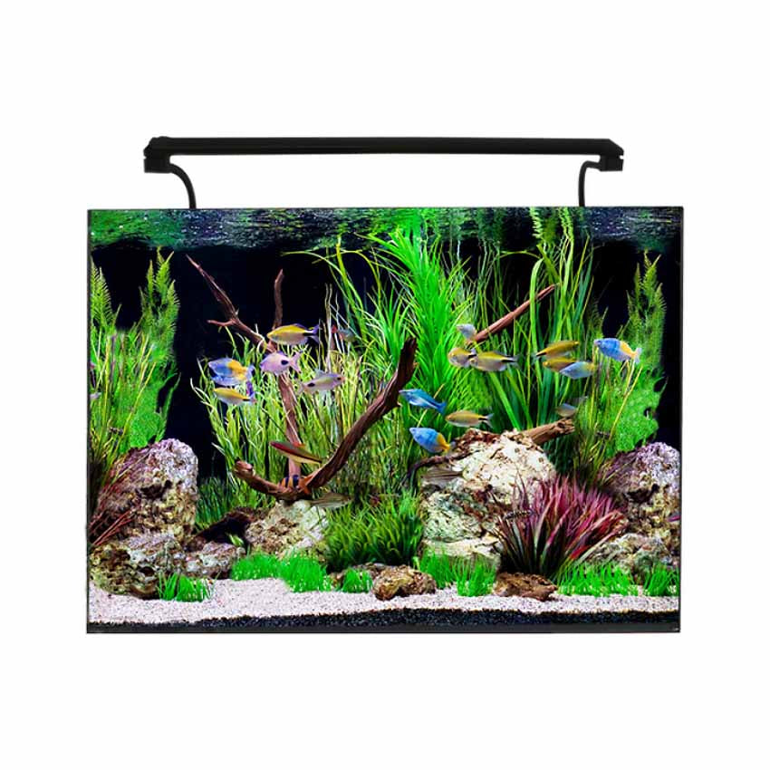 AquaOne AquaNano 60 Aquarium