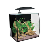 AquaOne Arc 46 Glass Aquarium