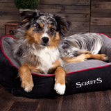 Scruffs Thermal Box Bed in Black