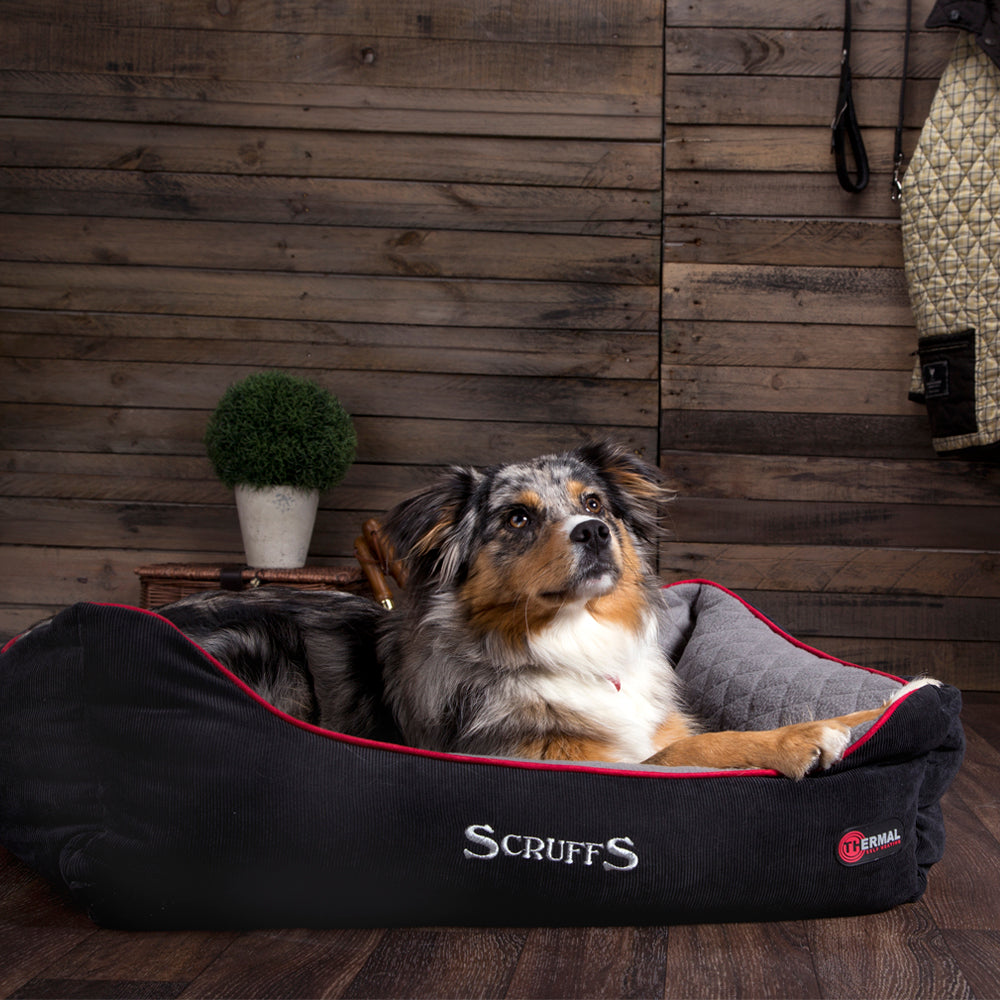 Scruffs Thermal Box Bed in Black