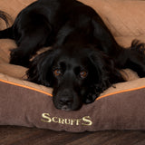 Scruffs Thermal Box Bed in Brown