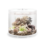 biOrb Tube 35 Litre MCR Aquarium