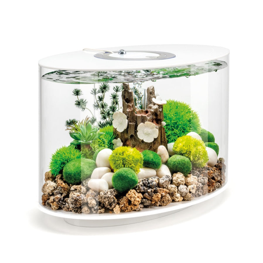 biOrb LOOP 15 Litre MCR Aquarium