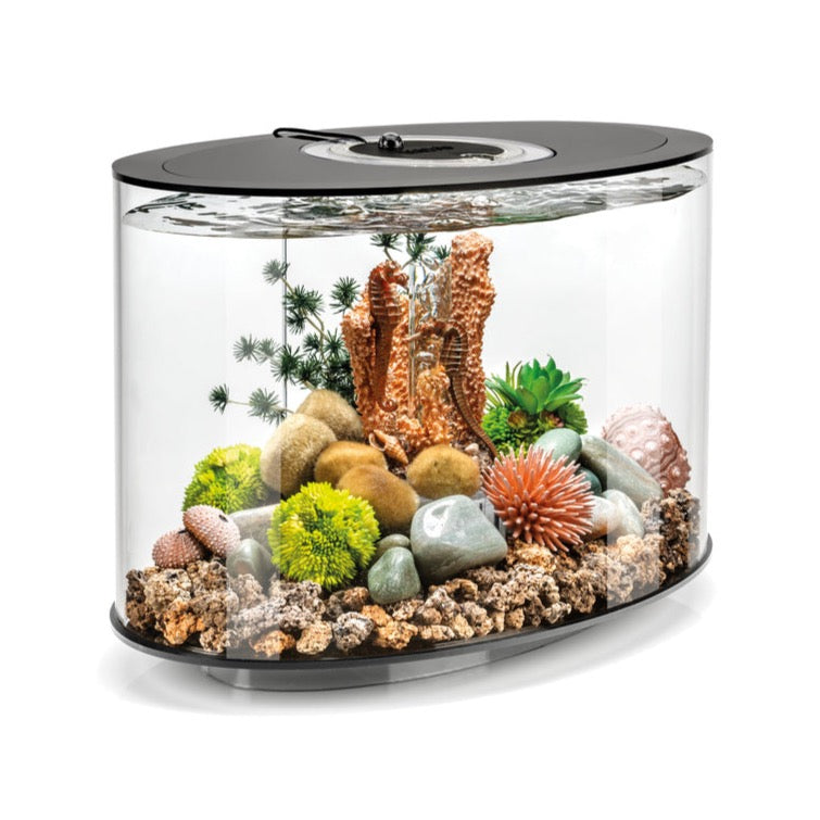 biOrb LOOP 30 Litre MCR Aquarium