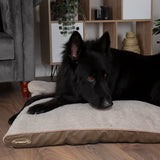 Scruffs Chateau Memory Foam Orthopaedic Pillow in Latte