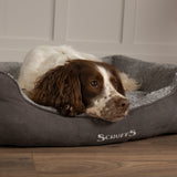 Scruffs Cosy Box Bed in Grey