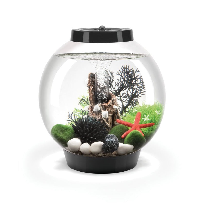 biOrb Classic 15 Litre MCR Aquarium