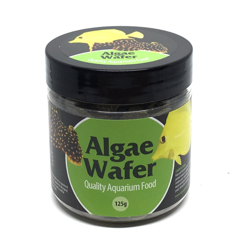 Algae Wafer