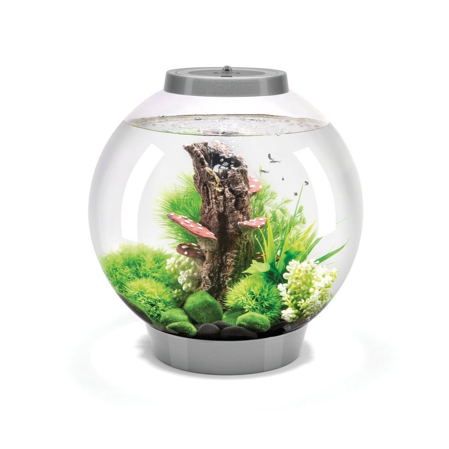 biOrb Classic 30 Litre MCR Aquarium