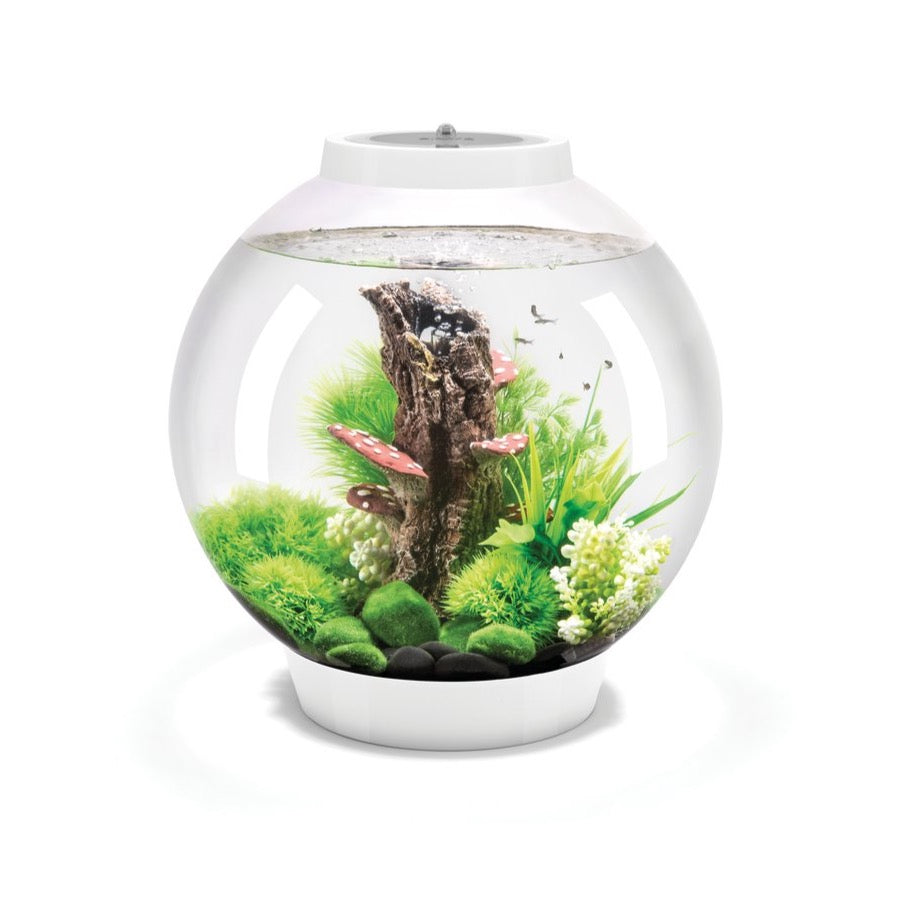 biOrb Classic 30 Litre MCR Aquarium