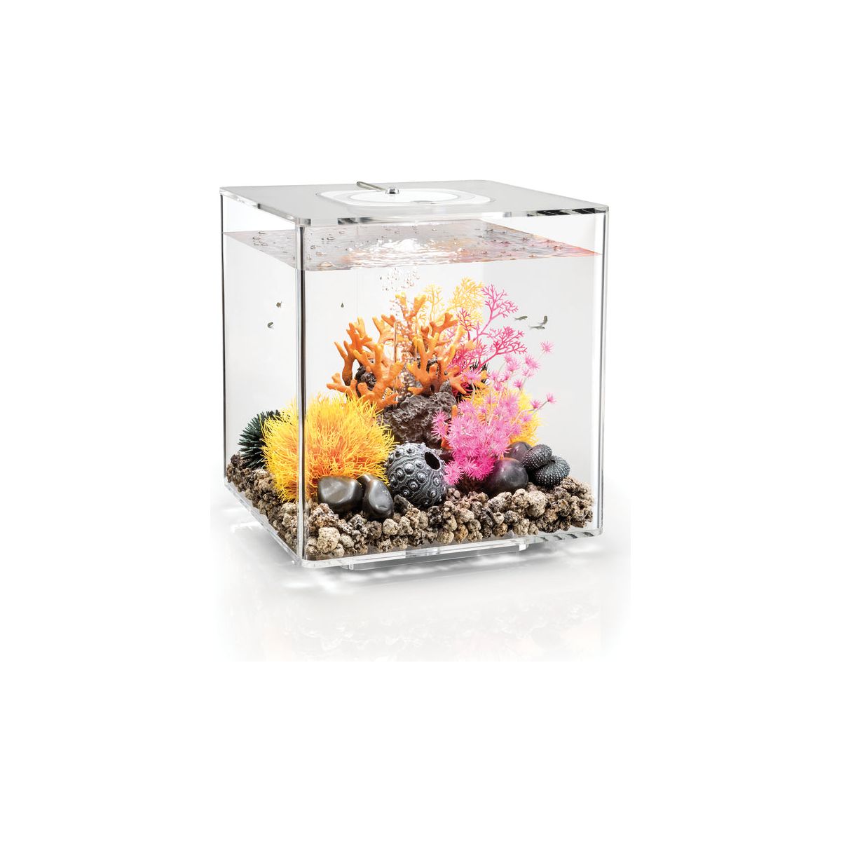 biOrb Cube 30 Litre MCR Aquarium