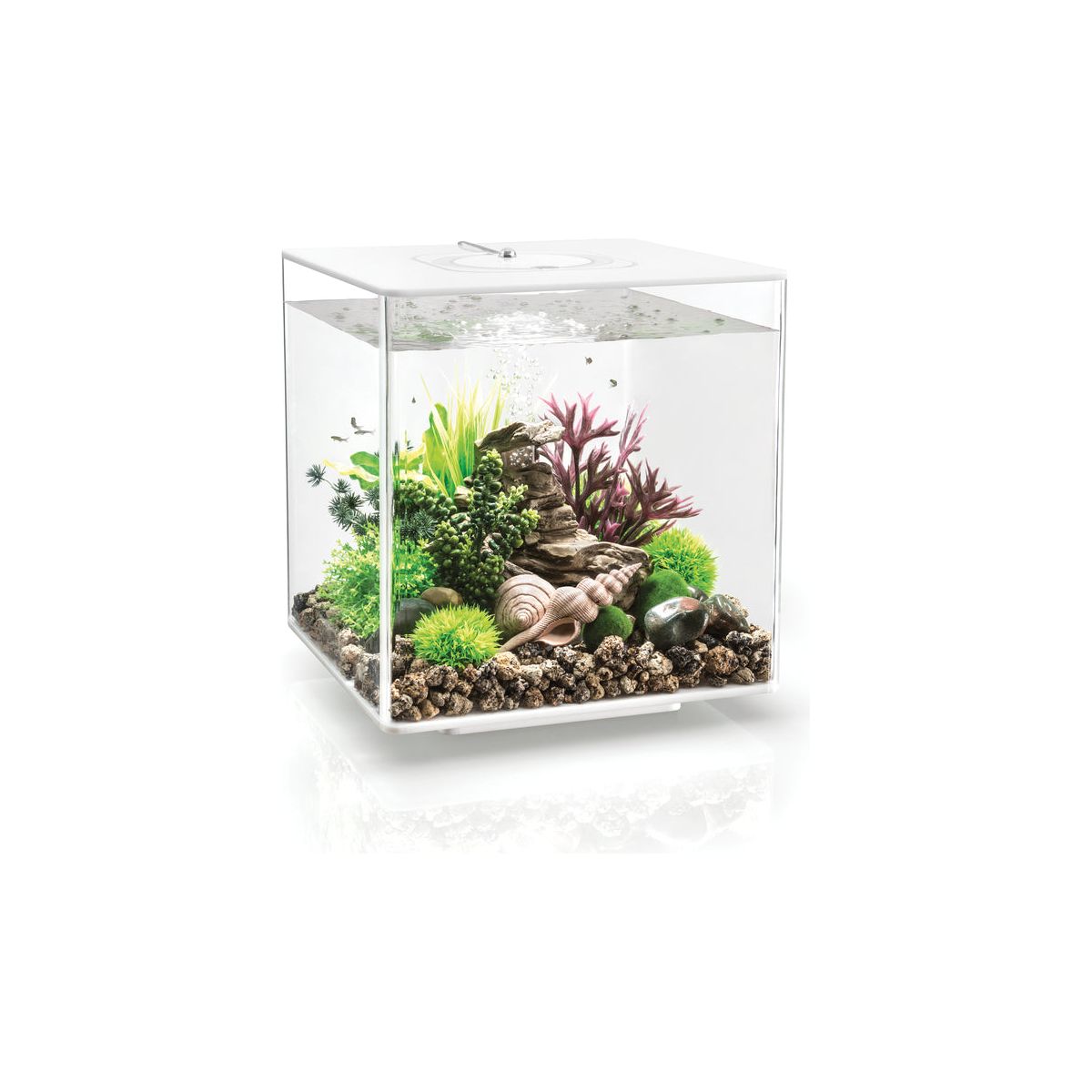 biOrb Cube 30 Litre MCR Aquarium