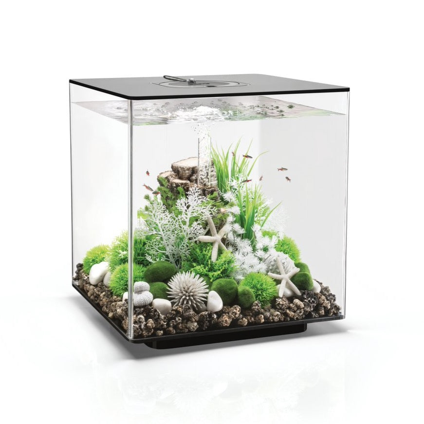 biOrb Cube 60 Litre MCR Aquarium