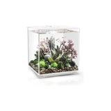 biOrb Cube 60 Litre MCR Aquarium